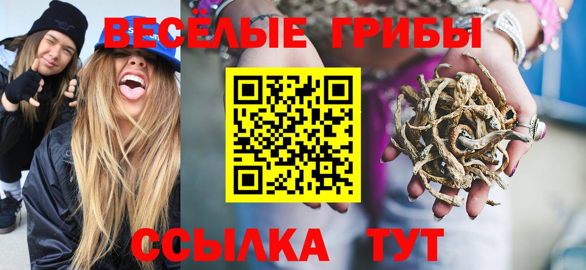 Псилоцибиновые грибы Magic Shrooms Торжок