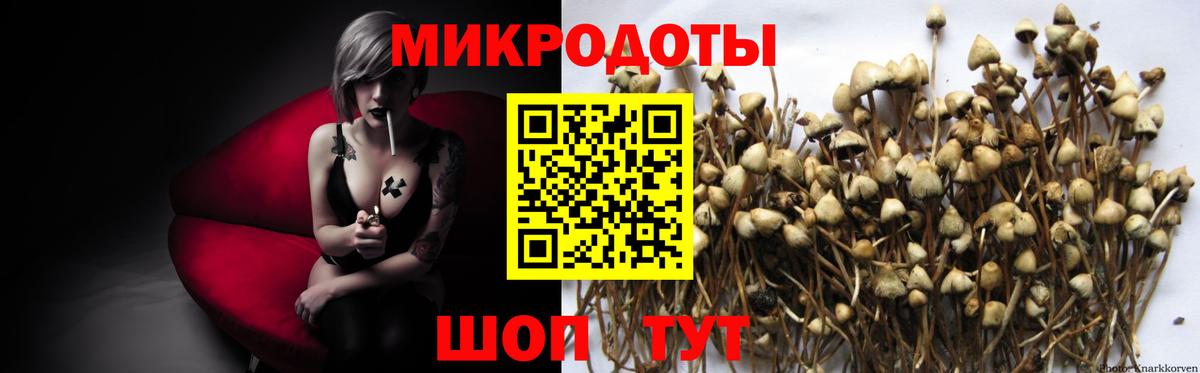 Торжок  Псилоцибиновые грибы мухоморы  Вход с VPN 